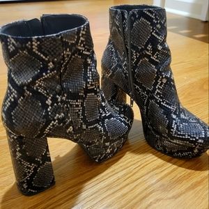 Steve Madden snake booties